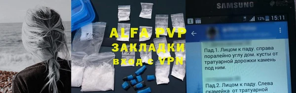 крисы Алексин