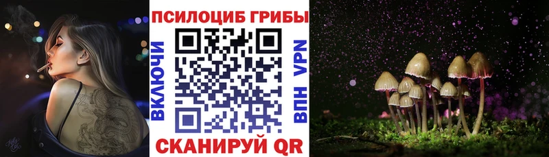 даркнет сайт  mega ТОР  дарк нет Telegram  Мураши  Псилоцибиновые грибы мицелий 